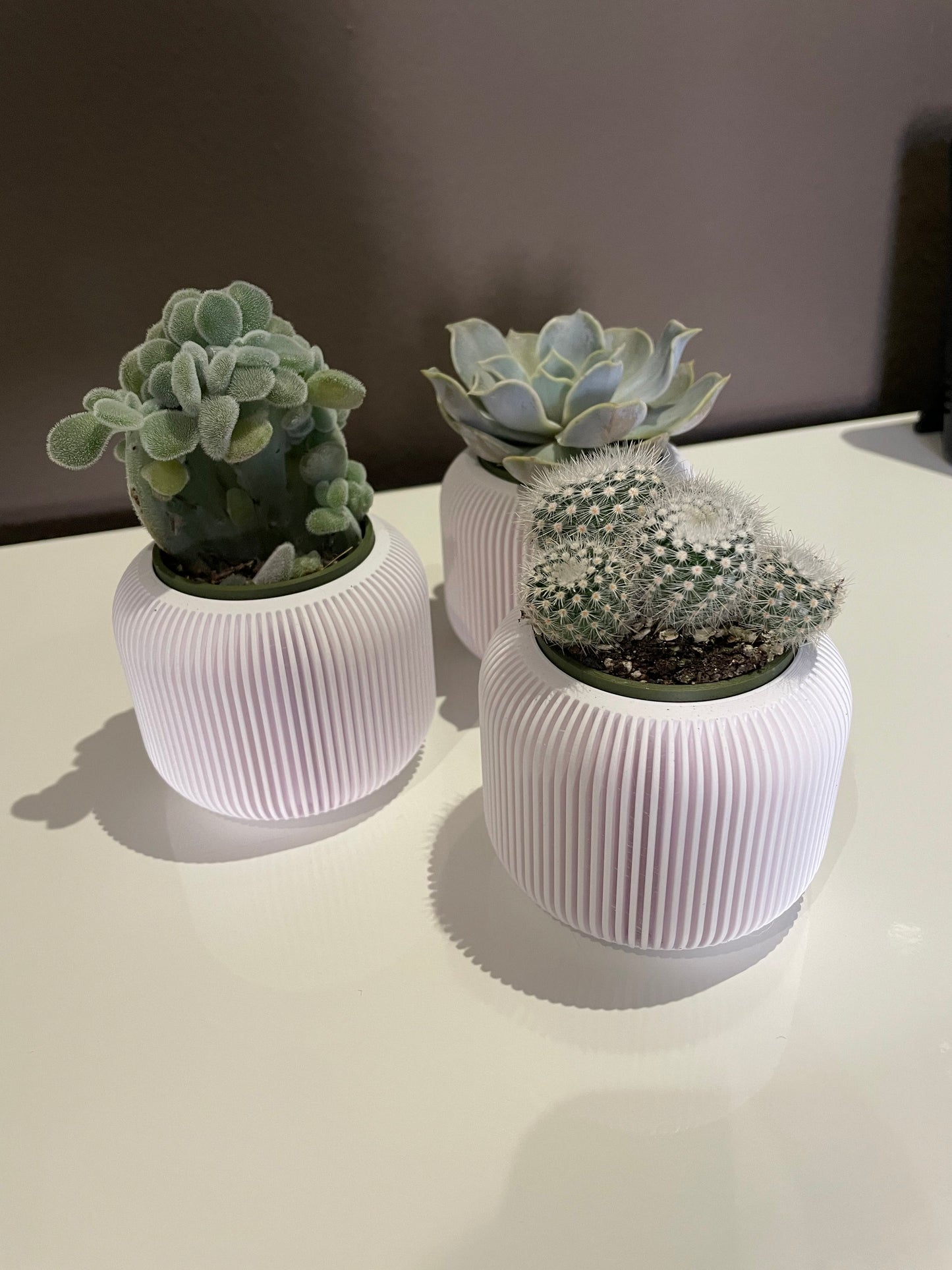 Vasos para suculentas hidropônicos